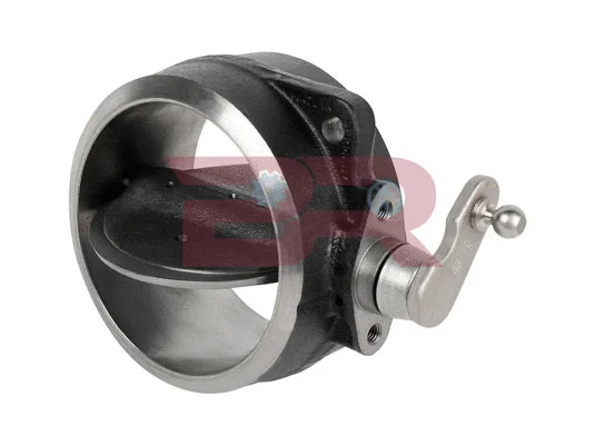 Exhaust Gas Flap, engine brake (BRM4922)