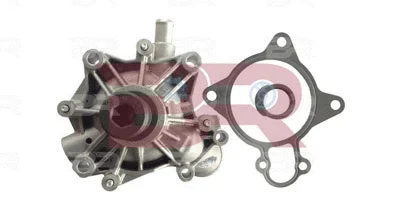 Water Pump, engine cooling (BRAC9725A)