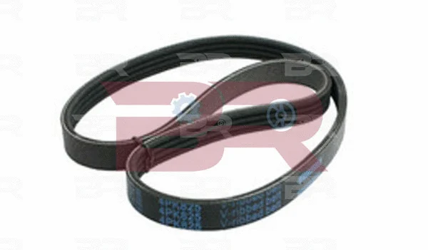 V-Ribbed Belt (BRM2568)