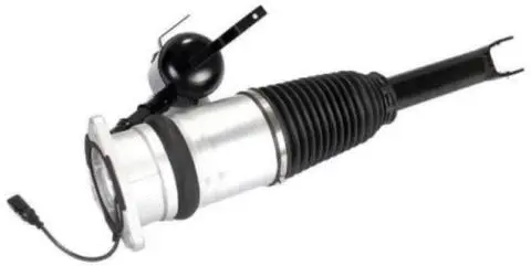 Air Suspension Strut (AS-15-116)