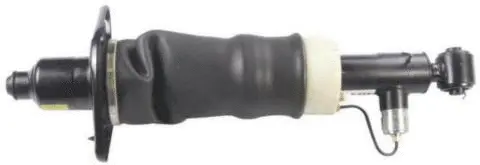 Air Suspension Strut (AS-15-111)