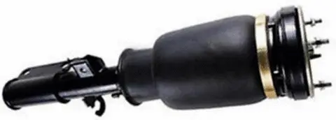 Air Suspension Strut (AS-10-102)