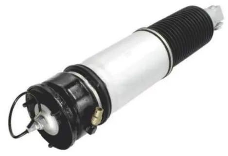 Air Suspension Strut (AS-10-104)