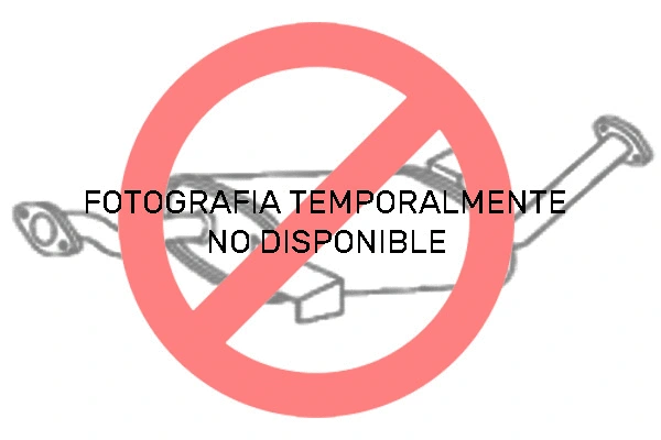 Catalytic Converter (TDE-40-014)