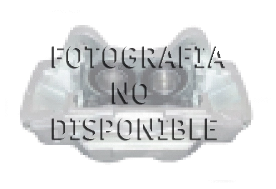 Brake Caliper (PDF-00-057)