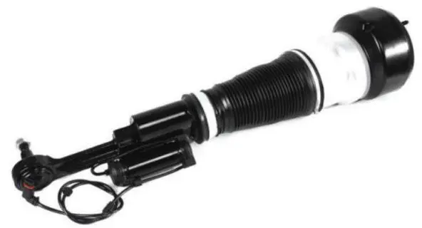 Air Suspension Strut (AS-90-116)