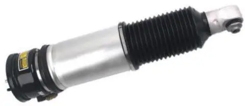 Air Suspension Strut (AS-10-106)