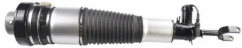 Air Suspension Strut (AS-15-112)
