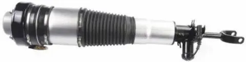 Air Suspension Strut (AS-15-113)