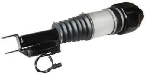 Air Suspension Strut (AS-90-112)