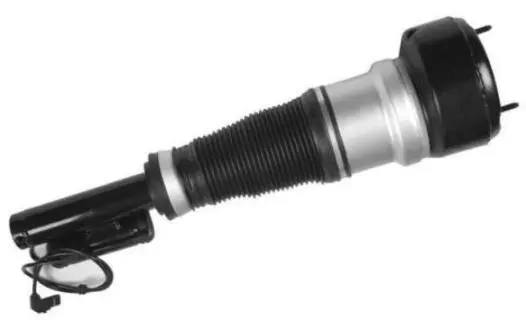 Air Suspension Strut (AS-90-113)