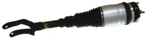 Air Suspension Strut (AS-12-102)