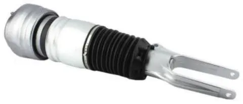 Air Suspension Strut (AS-25-101)
