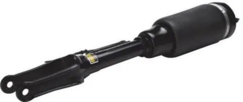 Air Suspension Strut (AS-90-118)