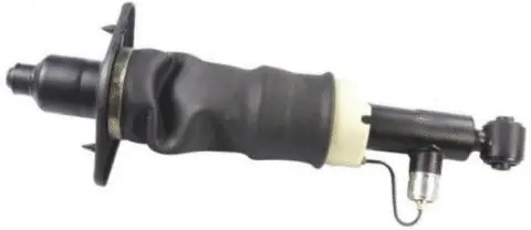 Air Suspension Strut (AS-15-110)