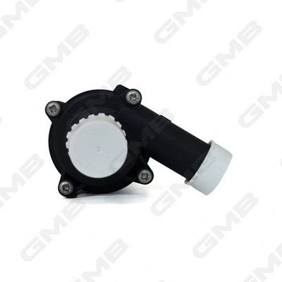 Auxiliary Water Pump (cooling water circuit)