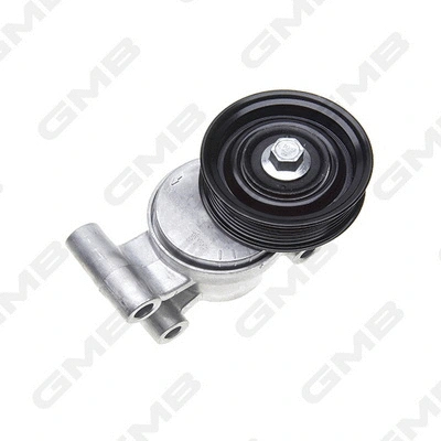 Belt Tensioner, V-ribbed belt (GAT31690)
