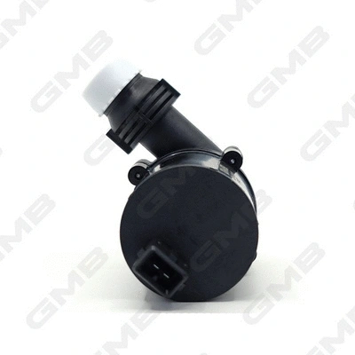 Auxiliary Water Pump (cooling water circuit)