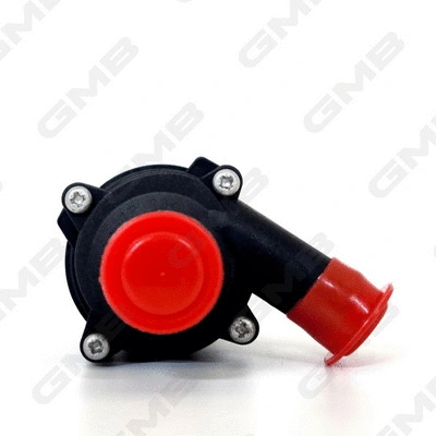 Auxiliary Water Pump (cooling water circuit)
