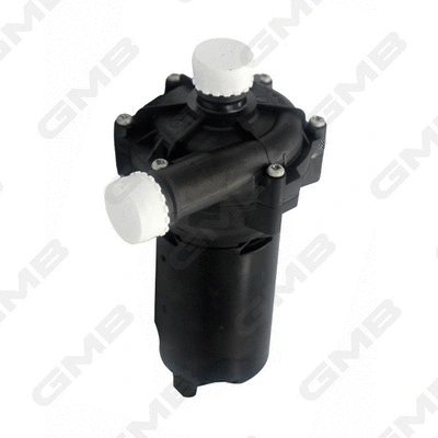 Auxiliary Water Pump (cooling water circuit) (GEW-BE009)