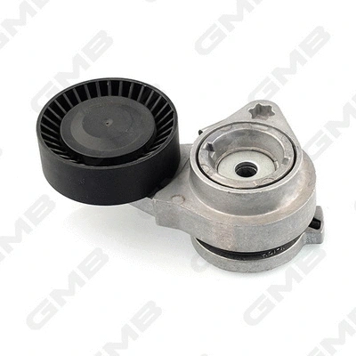 Belt Tensioner, V-ribbed belt (GAT20380)