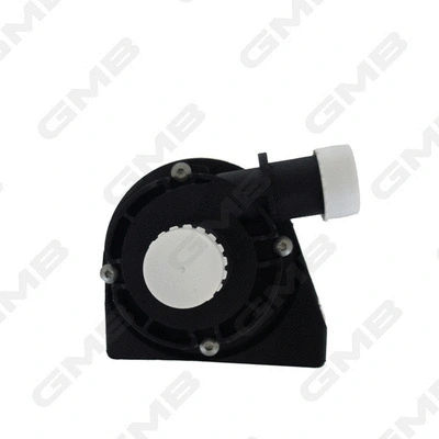Auxiliary Water Pump (cooling water circuit)