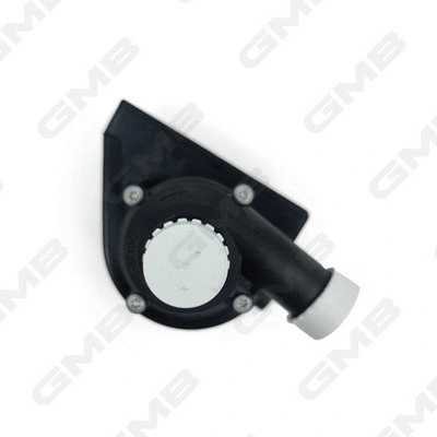 Auxiliary Water Pump (cooling water circuit)