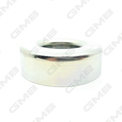Deflection/Guide Pulley, V-ribbed belt (GT50680)