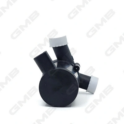 Auxiliary Water Pump (cooling water circuit)