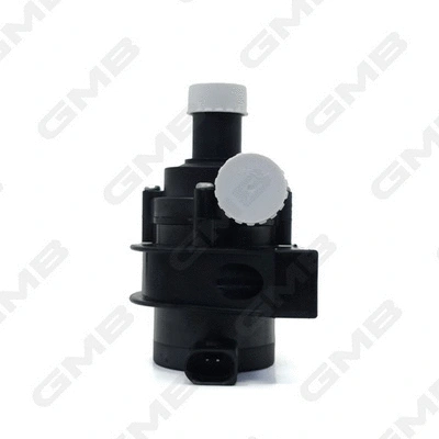 Auxiliary Water Pump (cooling water circuit)