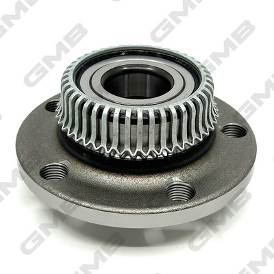 Wheel Hub (GH20030T)
