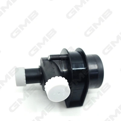 Auxiliary Water Pump (cooling water circuit)
