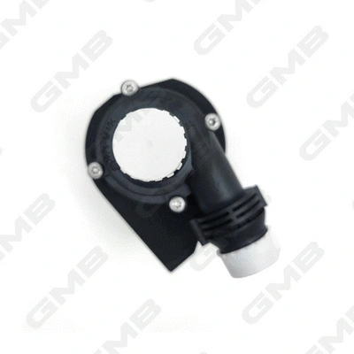 Auxiliary Water Pump (cooling water circuit)