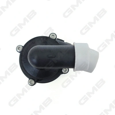 Auxiliary Water Pump (cooling water circuit)