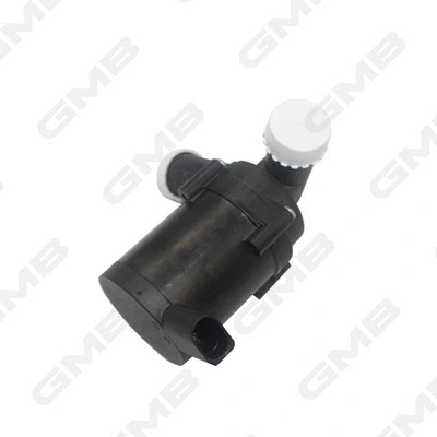 Auxiliary Water Pump (cooling water circuit) (GEW-PS003)