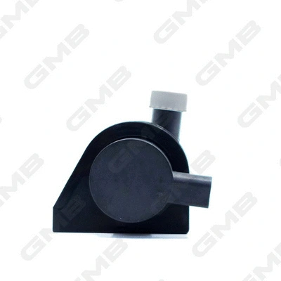 Auxiliary Water Pump (cooling water circuit)