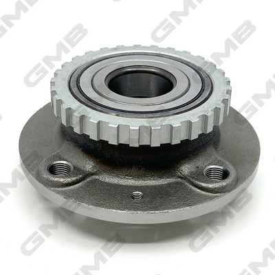 Wheel Hub (GH23160T)
