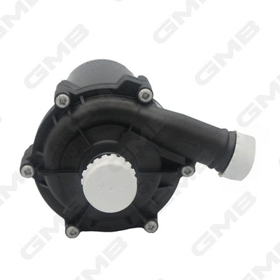 Auxiliary Water Pump (cooling water circuit)