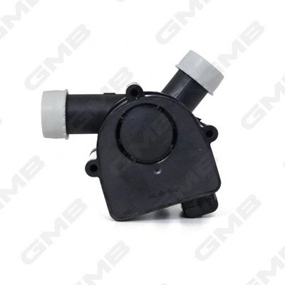 Auxiliary Water Pump (cooling water circuit)
