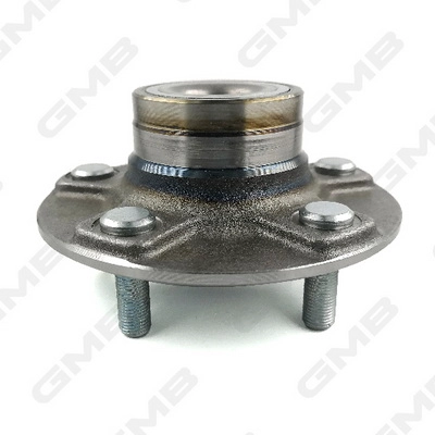 Wheel Hub (GH20200)