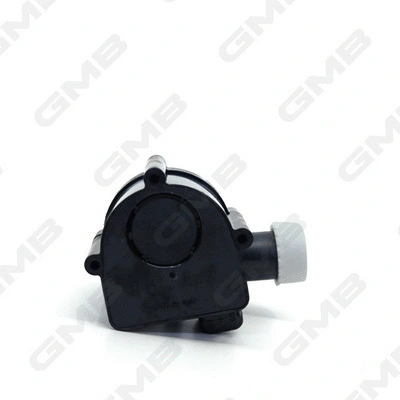 Auxiliary Water Pump (cooling water circuit)