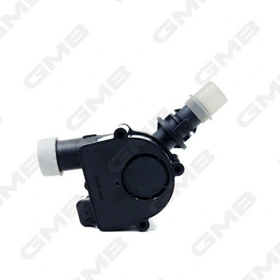 Auxiliary Water Pump (cooling water circuit)