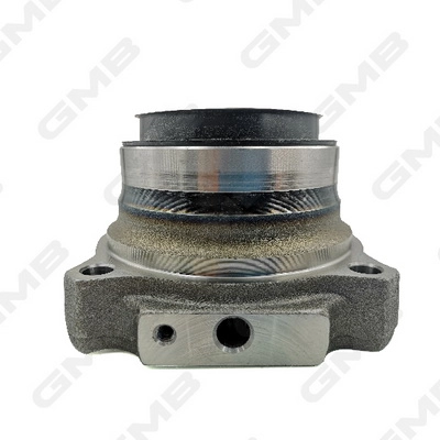 Wheel Hub (GH23550)