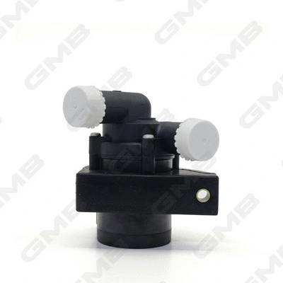 Auxiliary Water Pump (cooling water circuit)