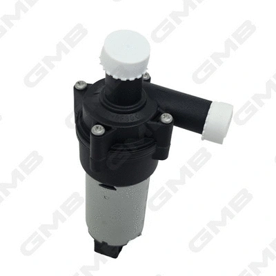 Auxiliary Water Pump (cooling water circuit) (GEW-BE011)