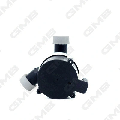 Auxiliary Water Pump (cooling water circuit)