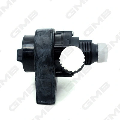 Auxiliary Water Pump (cooling water circuit)