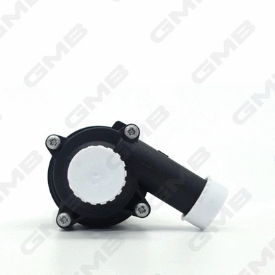 Auxiliary Water Pump (cooling water circuit)