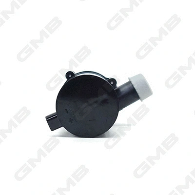 Auxiliary Water Pump (cooling water circuit)