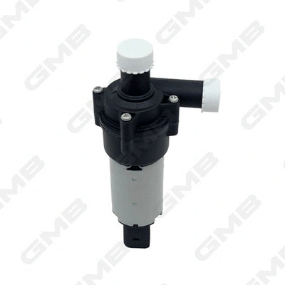 Auxiliary Water Pump (cooling water circuit) (GEW-F010)
